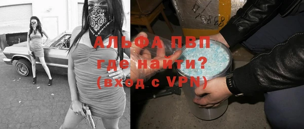 крисы Абаза