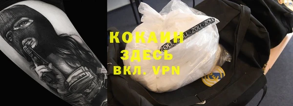 крисы Абаза