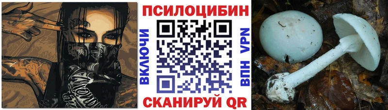 Псилоцибиновые грибы ЛСД  Цимлянск 
